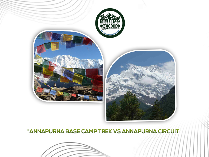 Annapurna Base Camp Trek Vs Annapurna Circuit