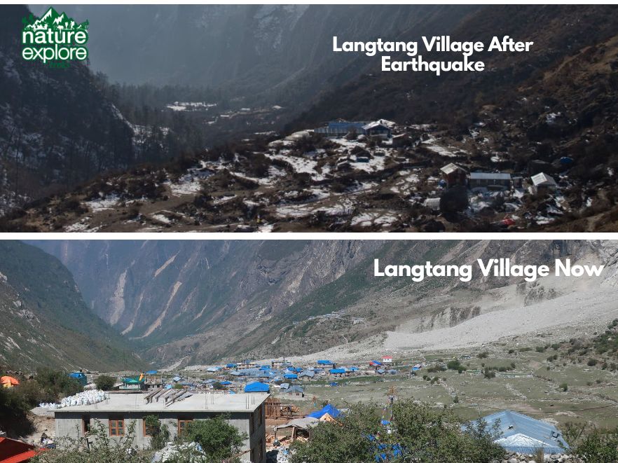 Langtang village before and after